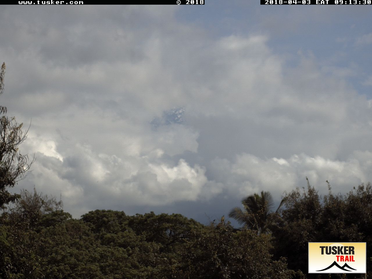 Tuscerpic Webcam : Die Sicht aktuelle auf den Kilimanjaro